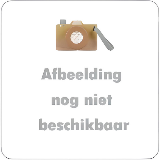1 Nijntje Daan 23 cm. NIJN166 - Afbeelding 1