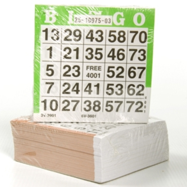 500 vel bingokaarten 360601 - Afbeelding 1