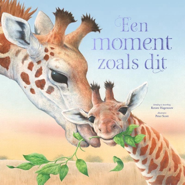 Rebo boek een moment zoals dit - Afbeelding 1